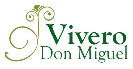 Vivero Don Miguel